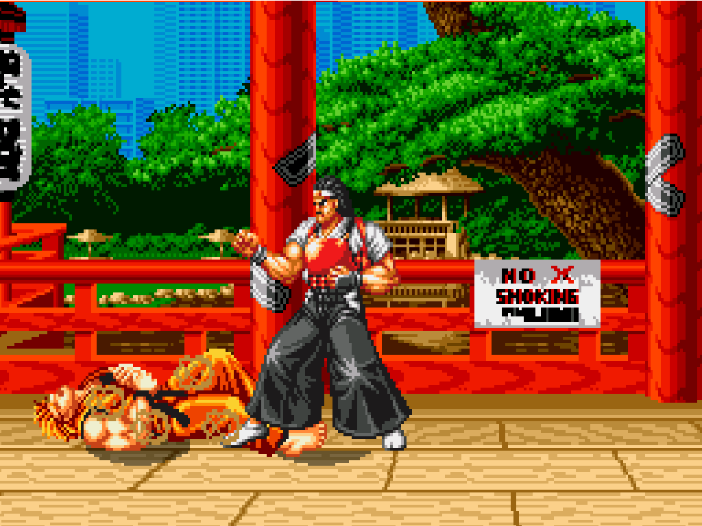 Art of Fighting