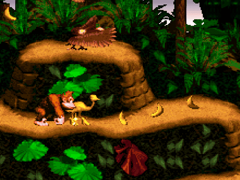 Donkey Kong Country
