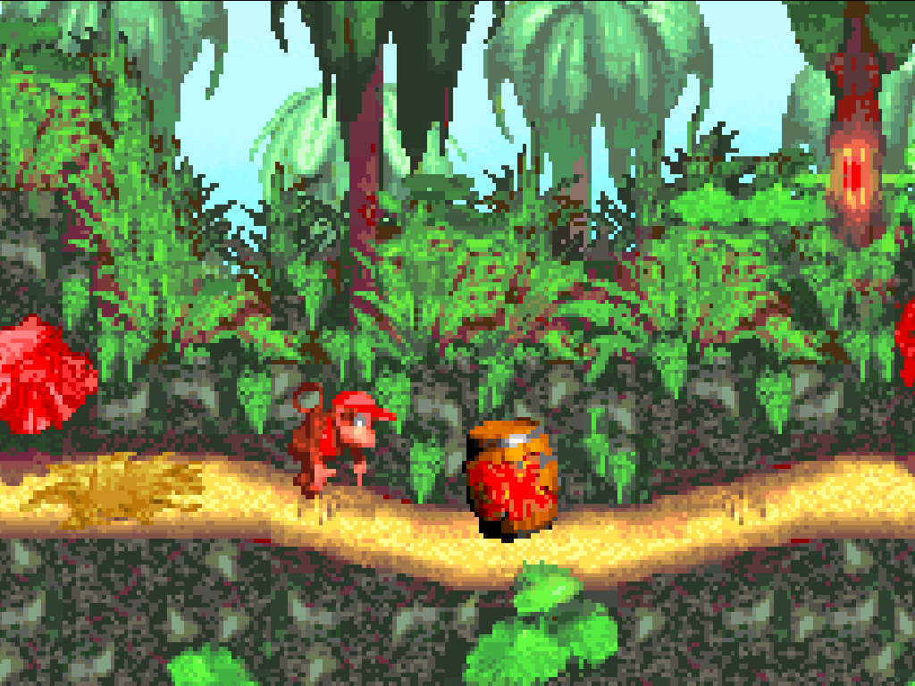 Donkey Kong Country