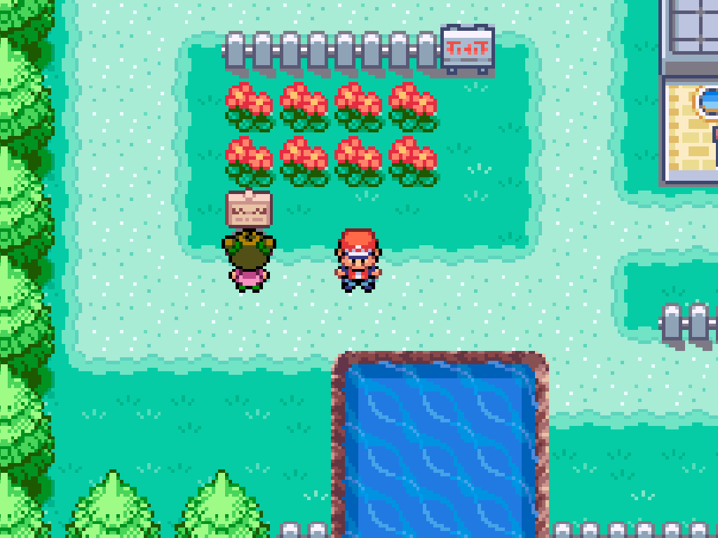Pokémon Feuerrote Edition