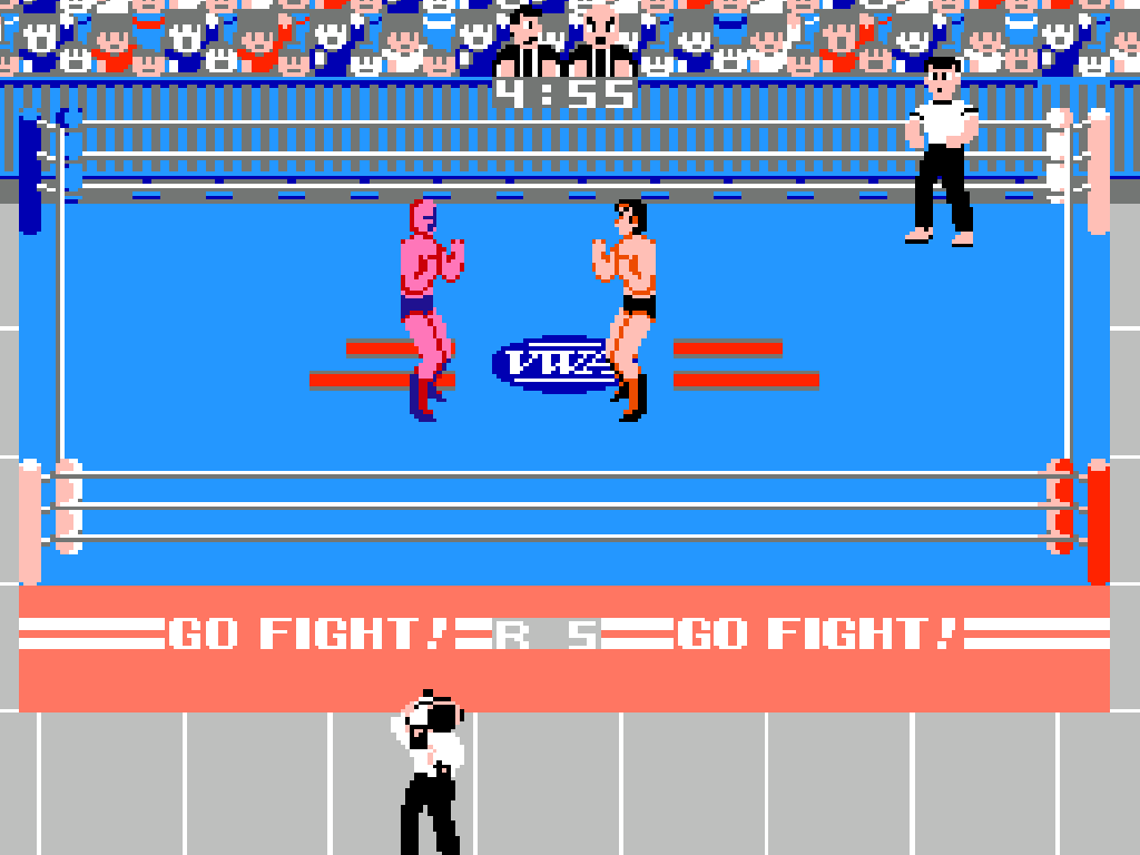 Pro Wrestling