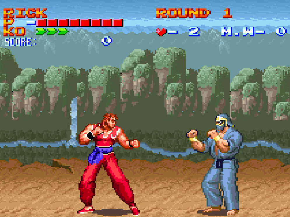 Ultimate Fighter
