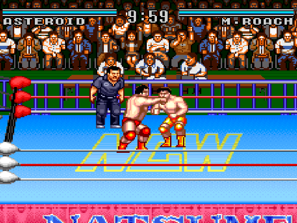 Natsume Championship Wrestling